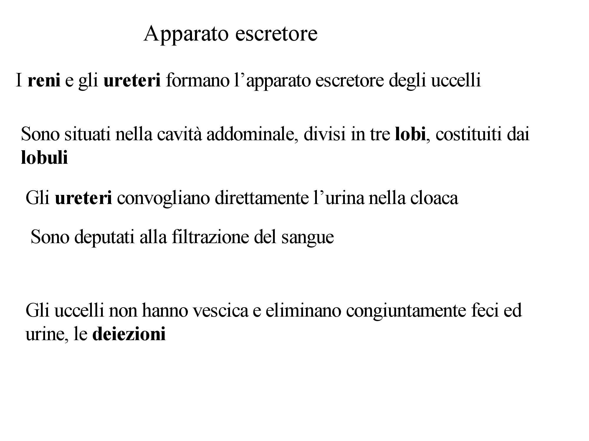 Schema sistema escretore