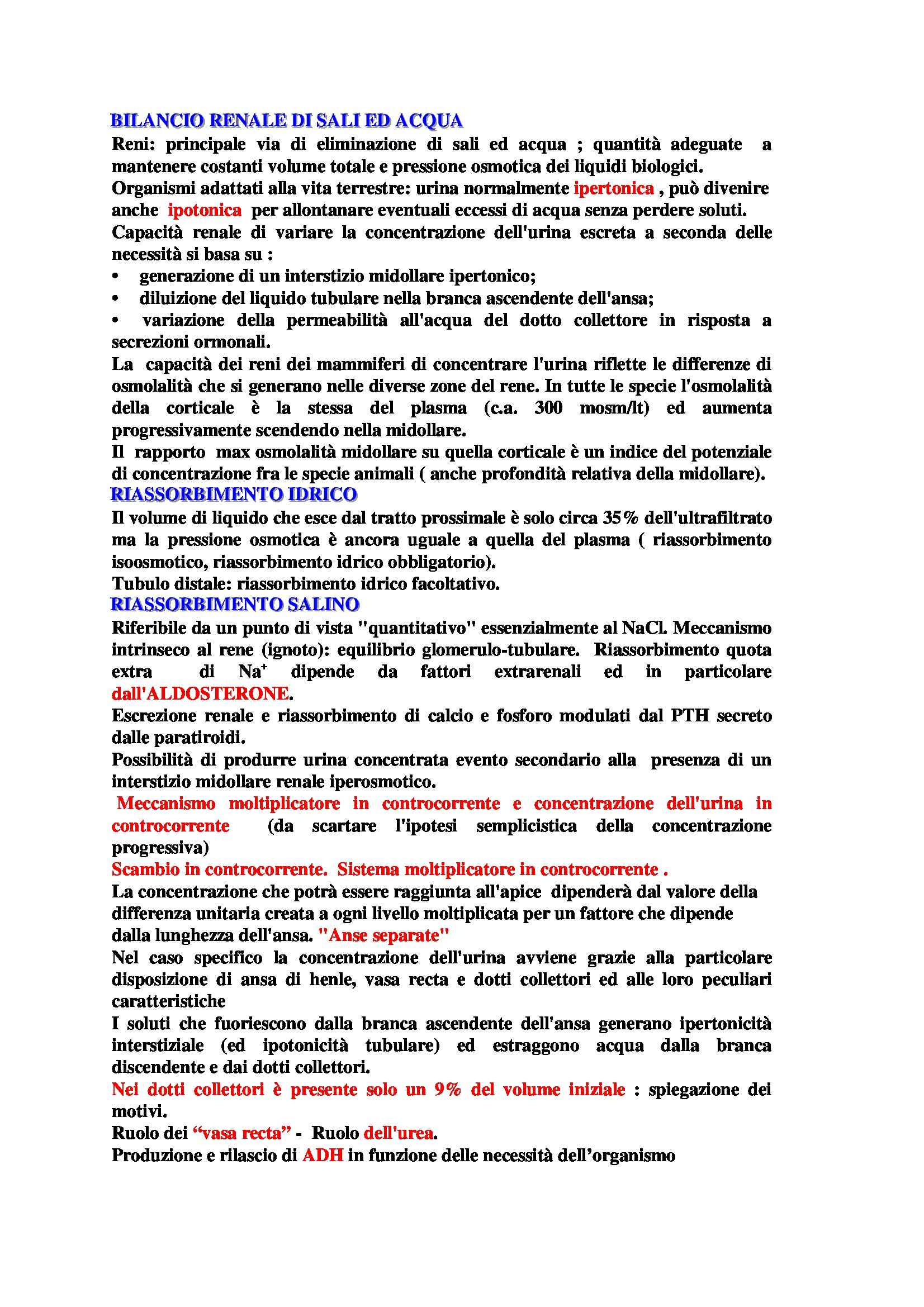 Meccanismo controcorrente nel rene