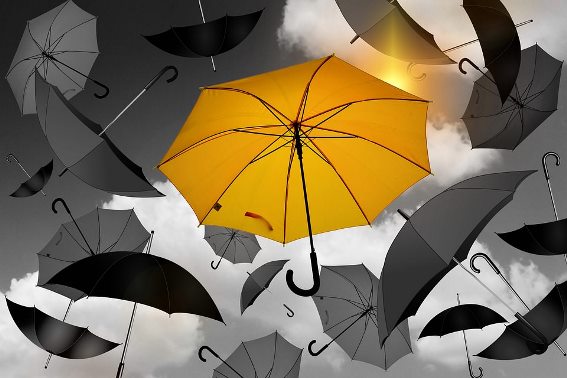 5 cose che vi auguro per il nuovo anno articolo
