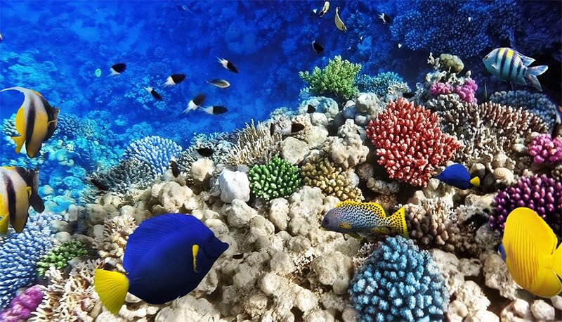 Descrizione Oggettiva Di Un Paesaggio