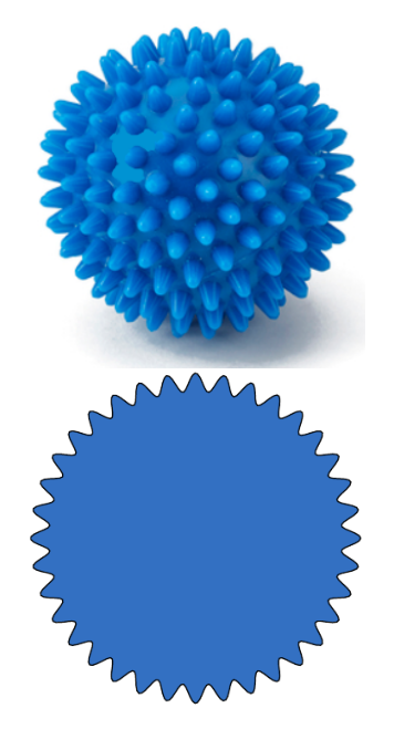 Figure 4: Particella con supericie ondulata e relativa sezione diametrale