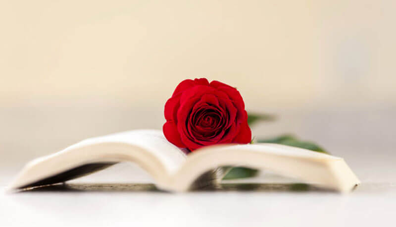 Ungaretti Giuseppe L Amore