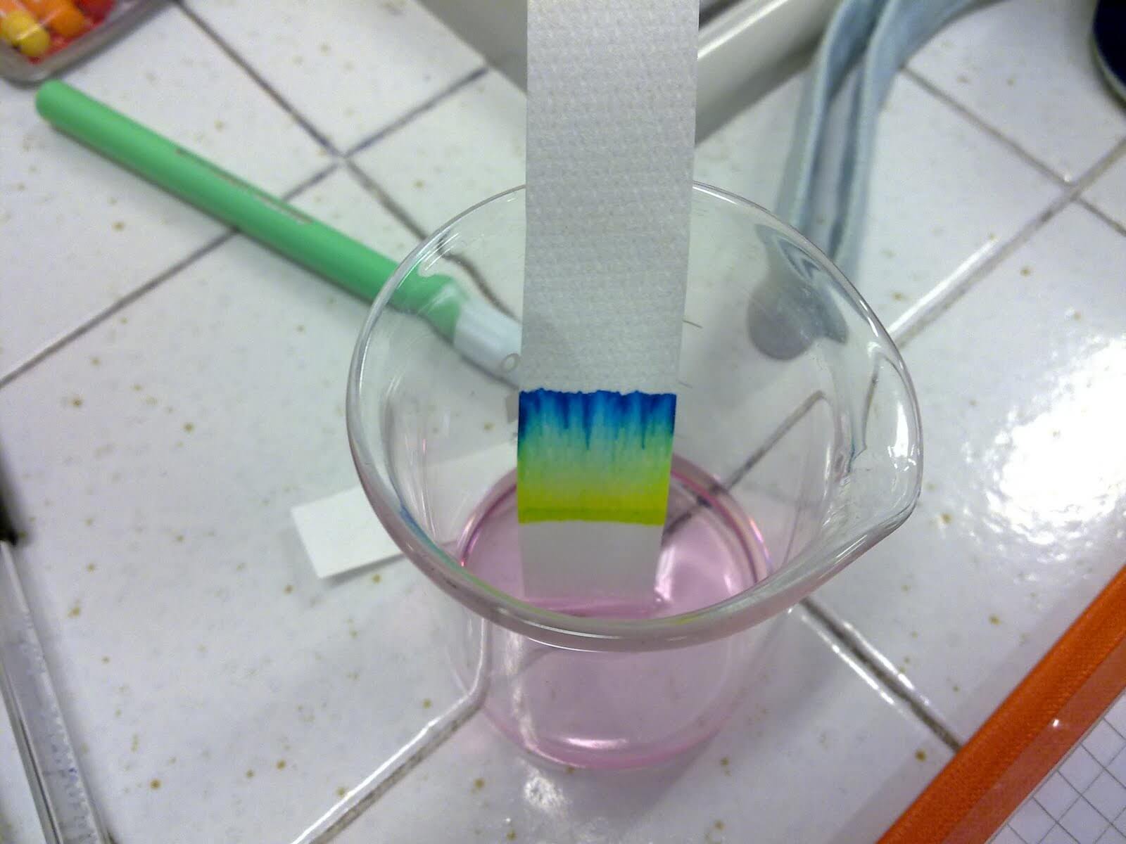 500 Strisce Carta Cromatografia - Carta Filtro Per Esperimenti Scienza, Lab E Scuola - Foto 7