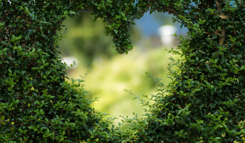 Come essere più eco friendly se sei uno studente universitario
