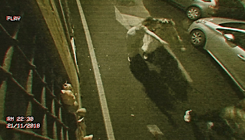 Centro di Roma, sinistre presenze terrorizzano i passanti