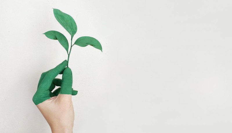 Classifica Università, ecco gli atenei più "green" d’Italia nel 2020