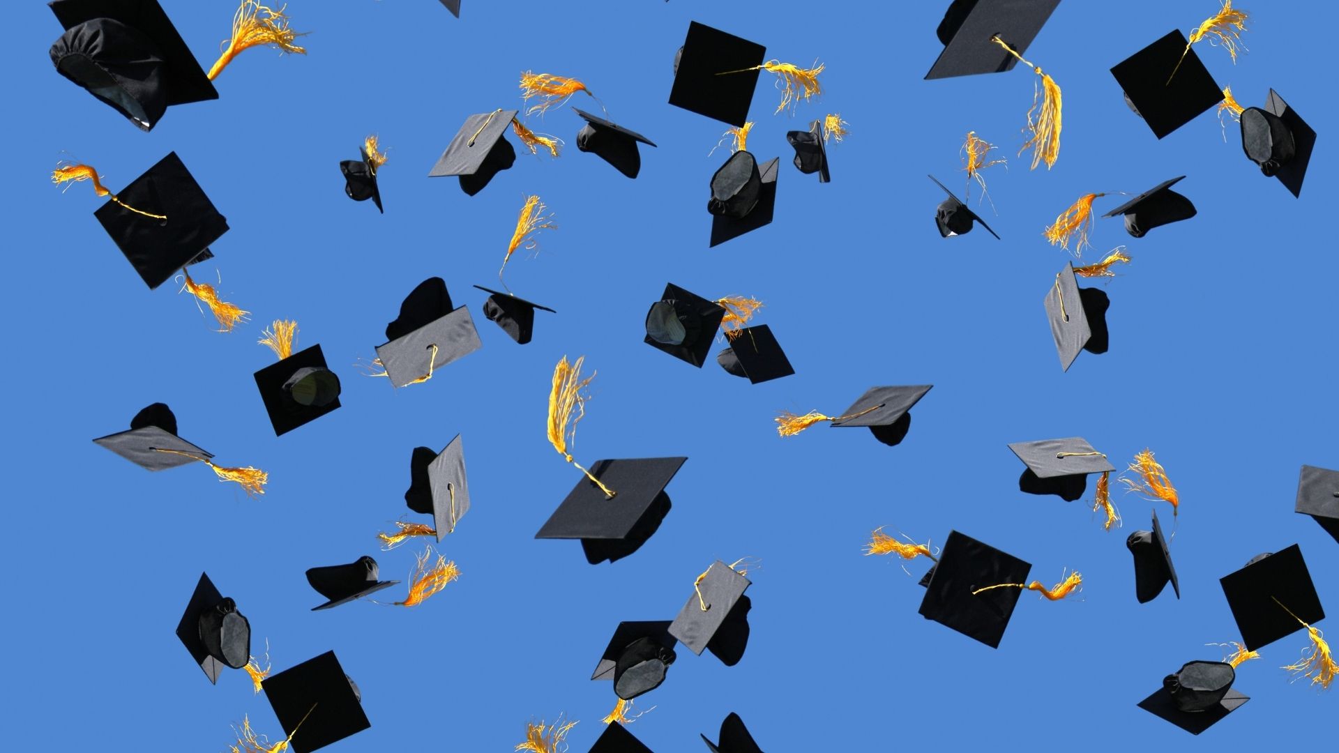 Media Del 28 Voto Di Laurea Quando un voto di laurea è basso?