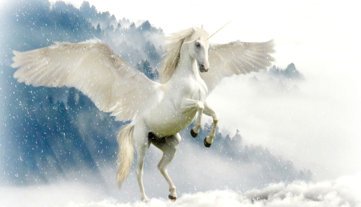 Giornata Mondiale dell'Unicorno: come nasce e qual è il significato di