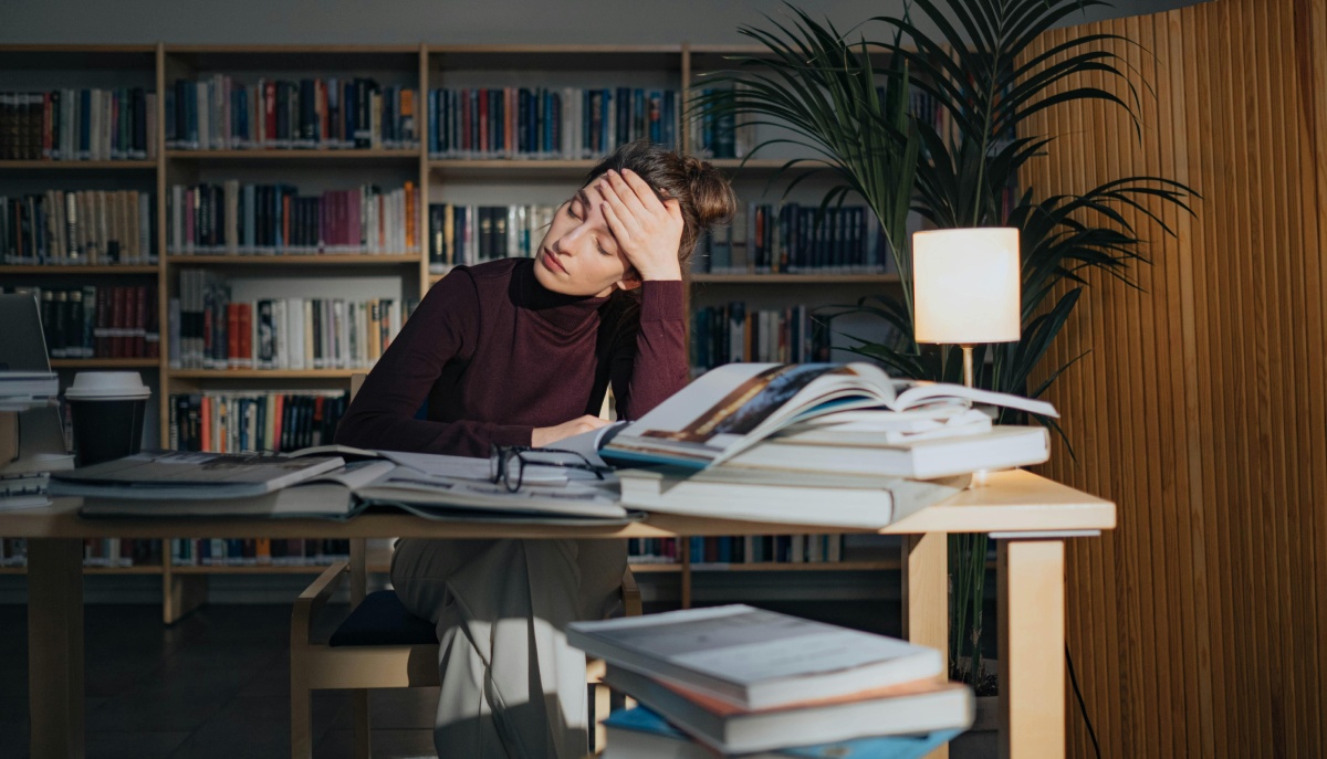 Quante Ore Studiate Al Giorno Ingegneria