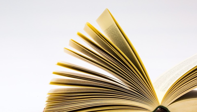 Immagine di un libro aperto, con pagine ben visibili che mostrano un gioco di luci e ombre. Un momento di lettura evocativo.