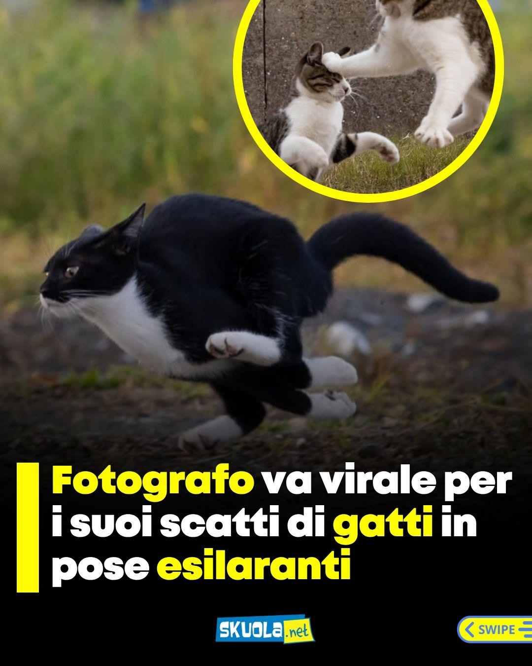https://www.instagram.com/p/DX0_ScNjZaF/
