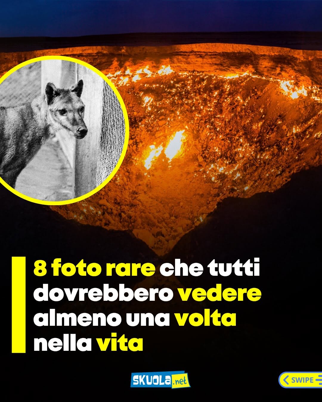 https://www.instagram.com/p/DZCSksajUu5/