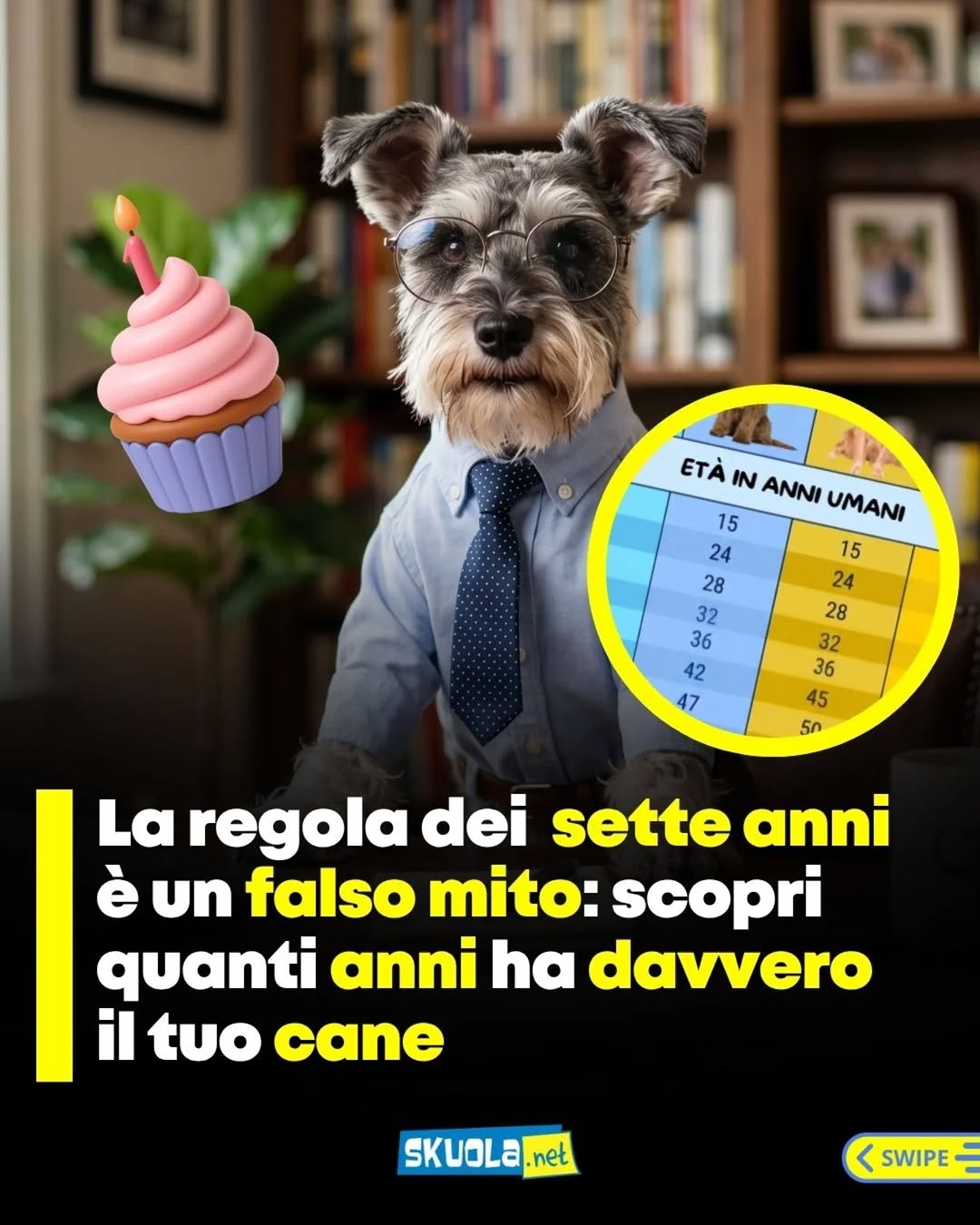 https://www.instagram.com/p/DZQRCF8DYJX/