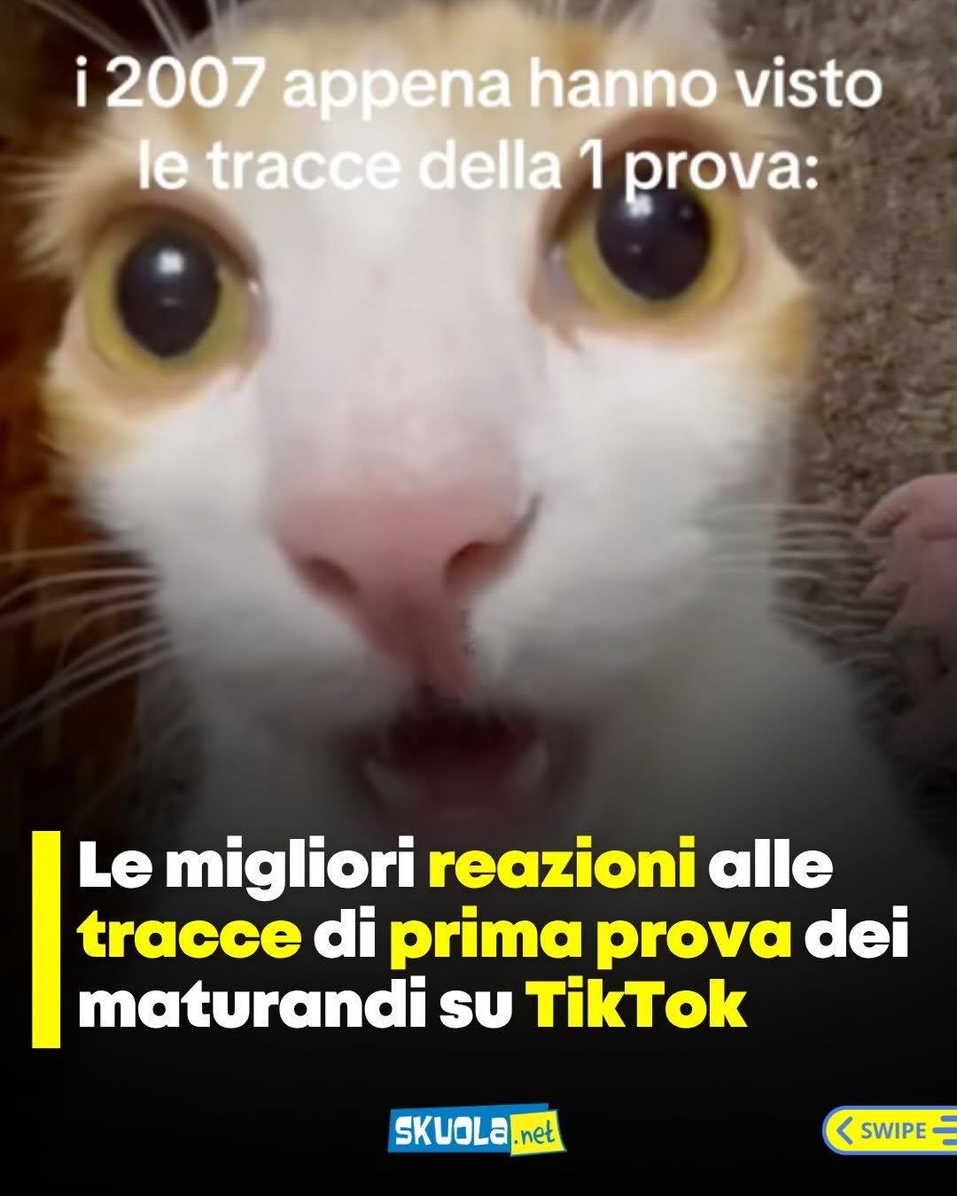 https://www.instagram.com/p/DZuzLWMDSnO/