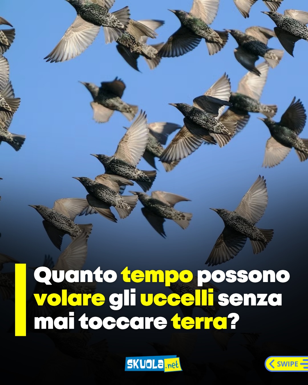 https://www.instagram.com/p/Da8EEILjbI7/