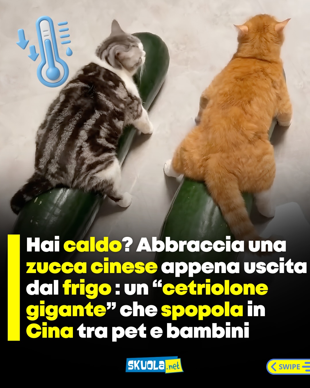 https://www.instagram.com/p/DbC28JUDbcq/