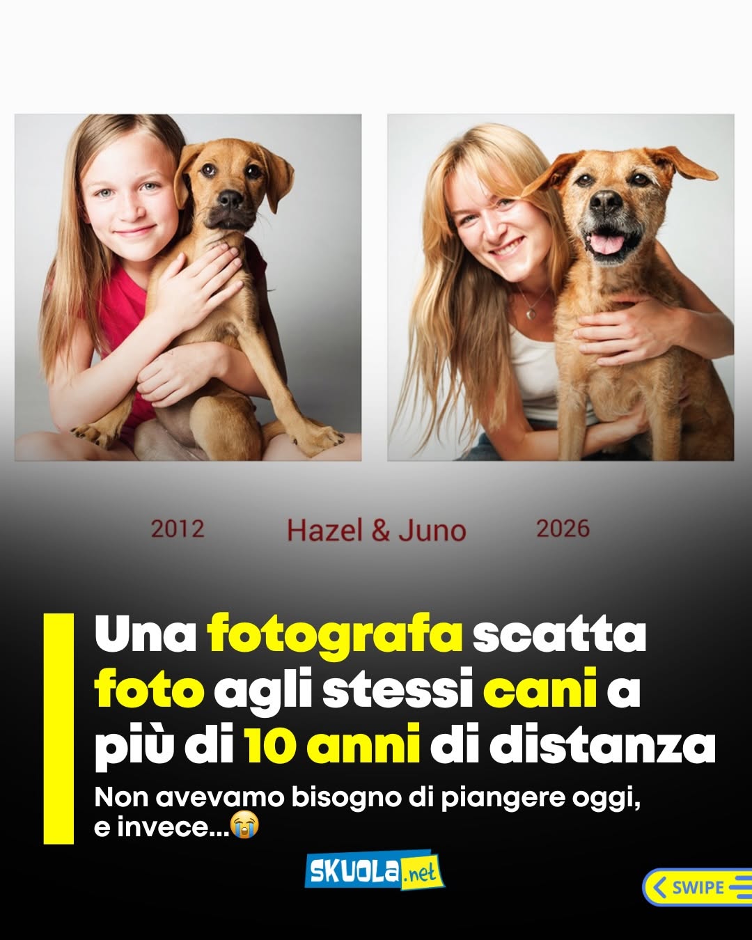 https://www.instagram.com/p/DbieOijjbNT/