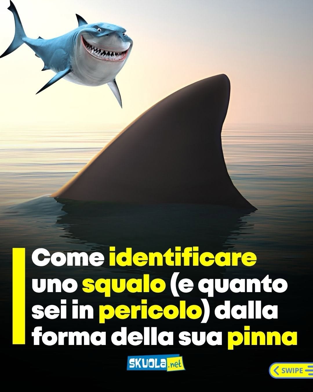 https://www.instagram.com/p/Db0fz1vjfgN/