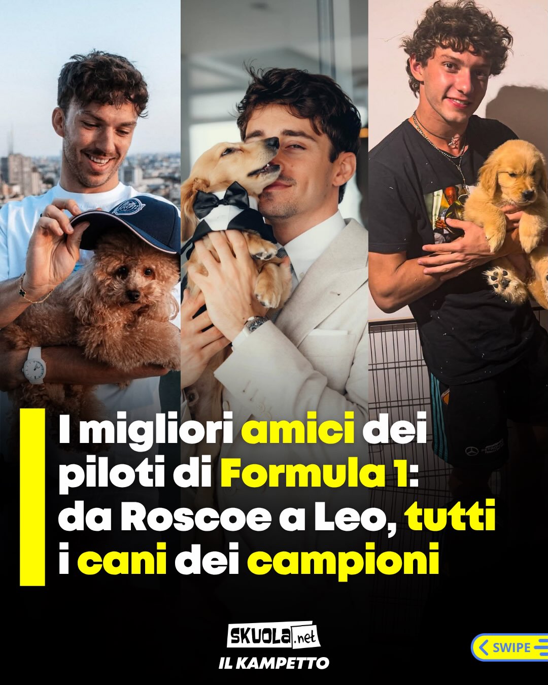 https://www.instagram.com/p/Dcv7zCqDcu1/