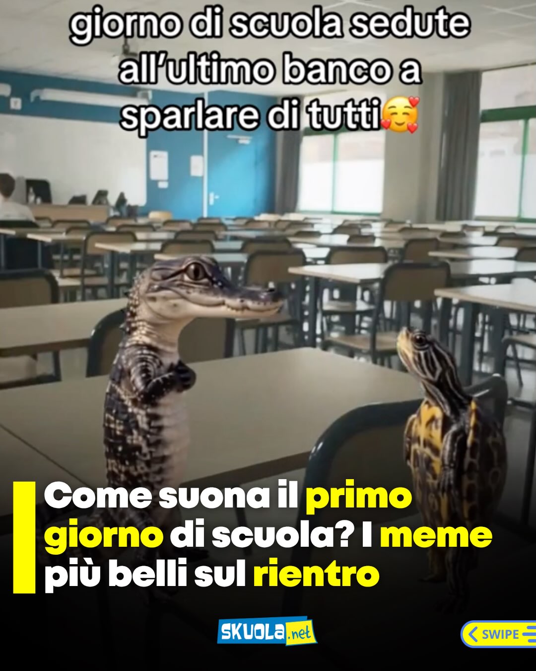 https://www.instagram.com/p/DdQVea-DRjr/