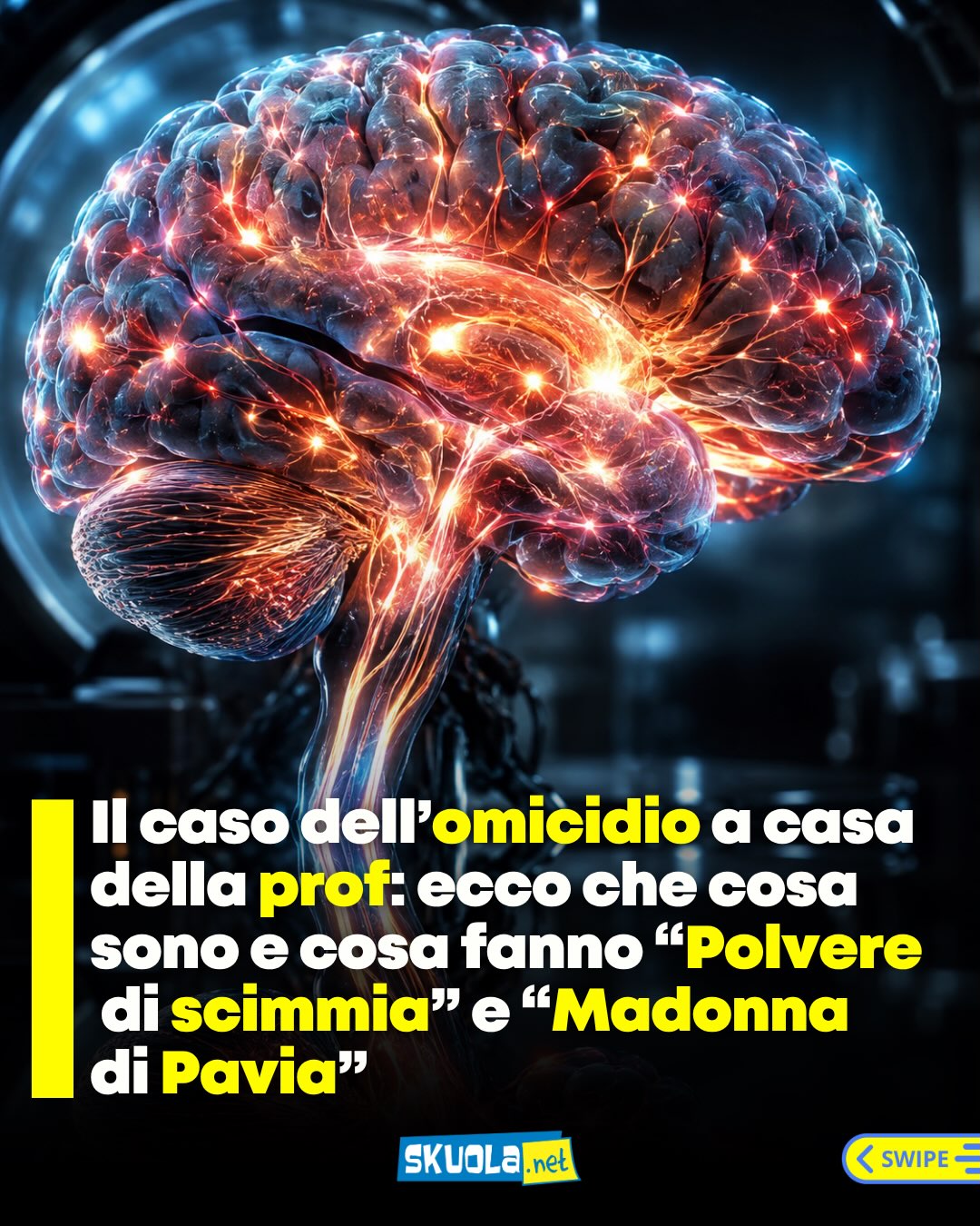 https://www.instagram.com/p/Dd6JZibDd1X/