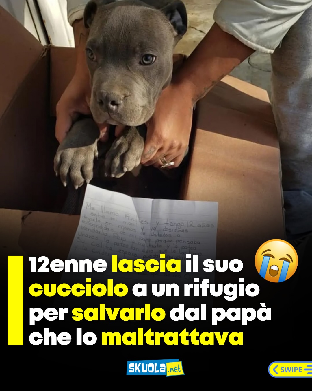 https://www.instagram.com/p/DeUJpW9jQQR/