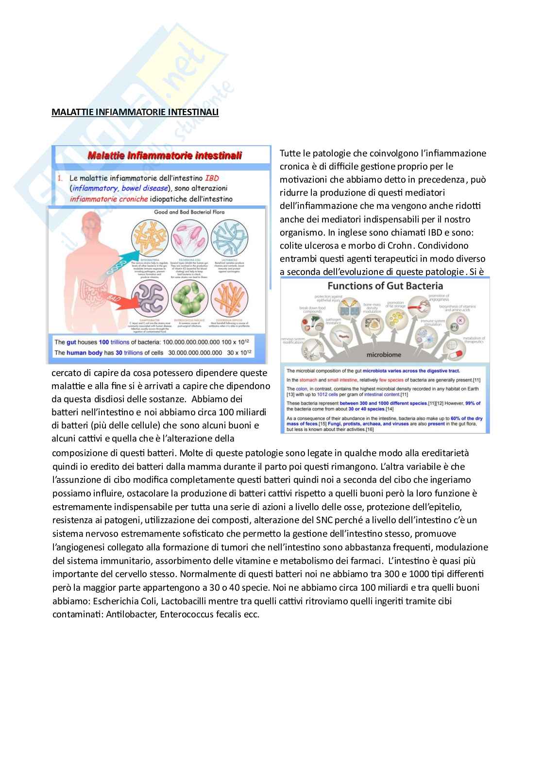 Farmacoterapia 2 - Intestino Pag. 1