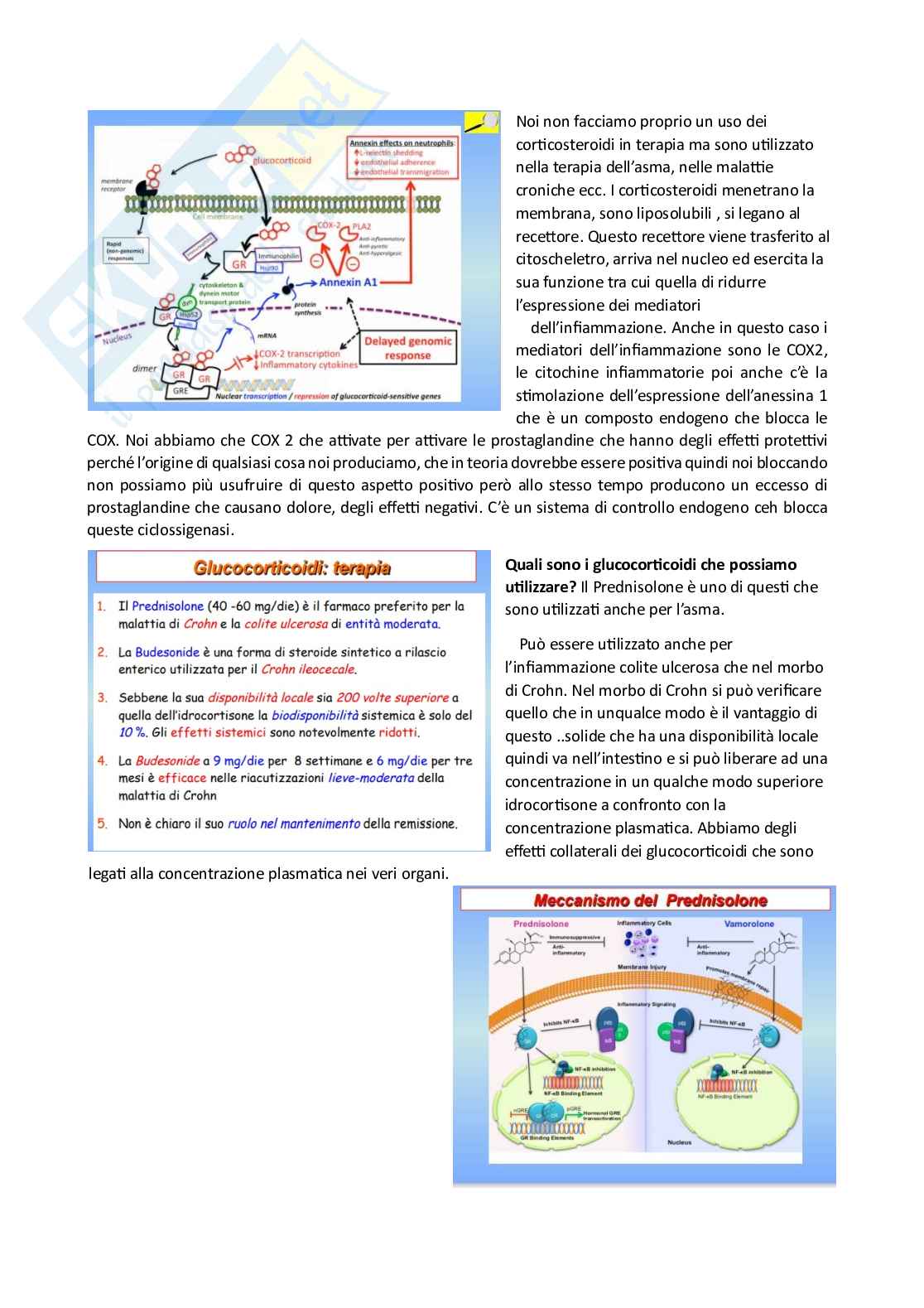 Farmacoterapia 2 - Intestino Pag. 11