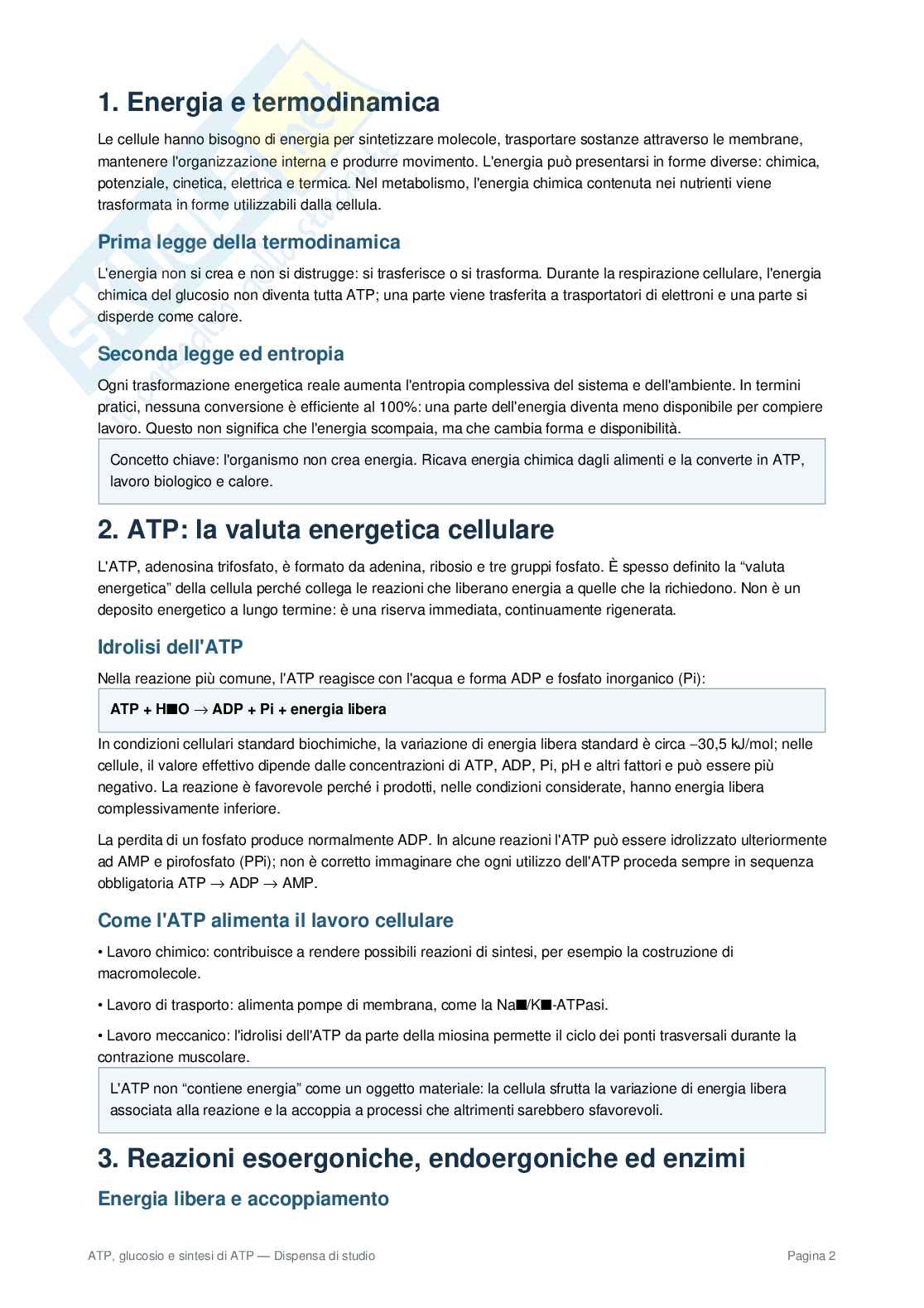 ATP e glucosio Pag. 2