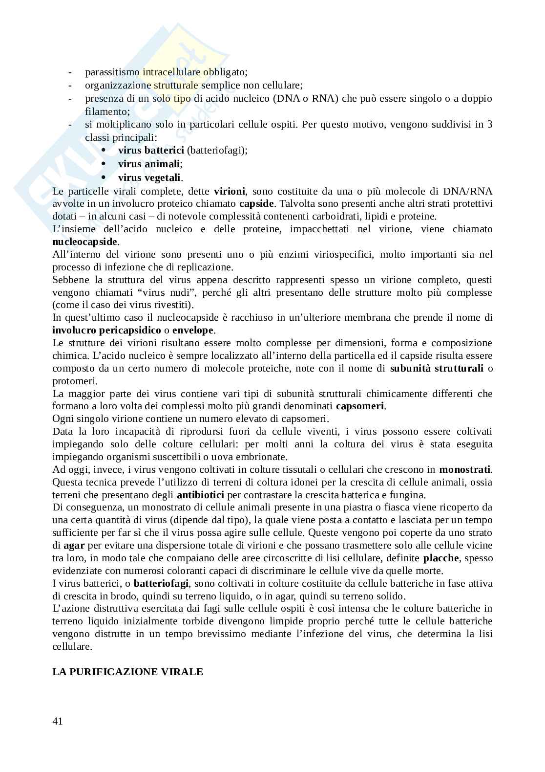 Microbiologia Pag. 41