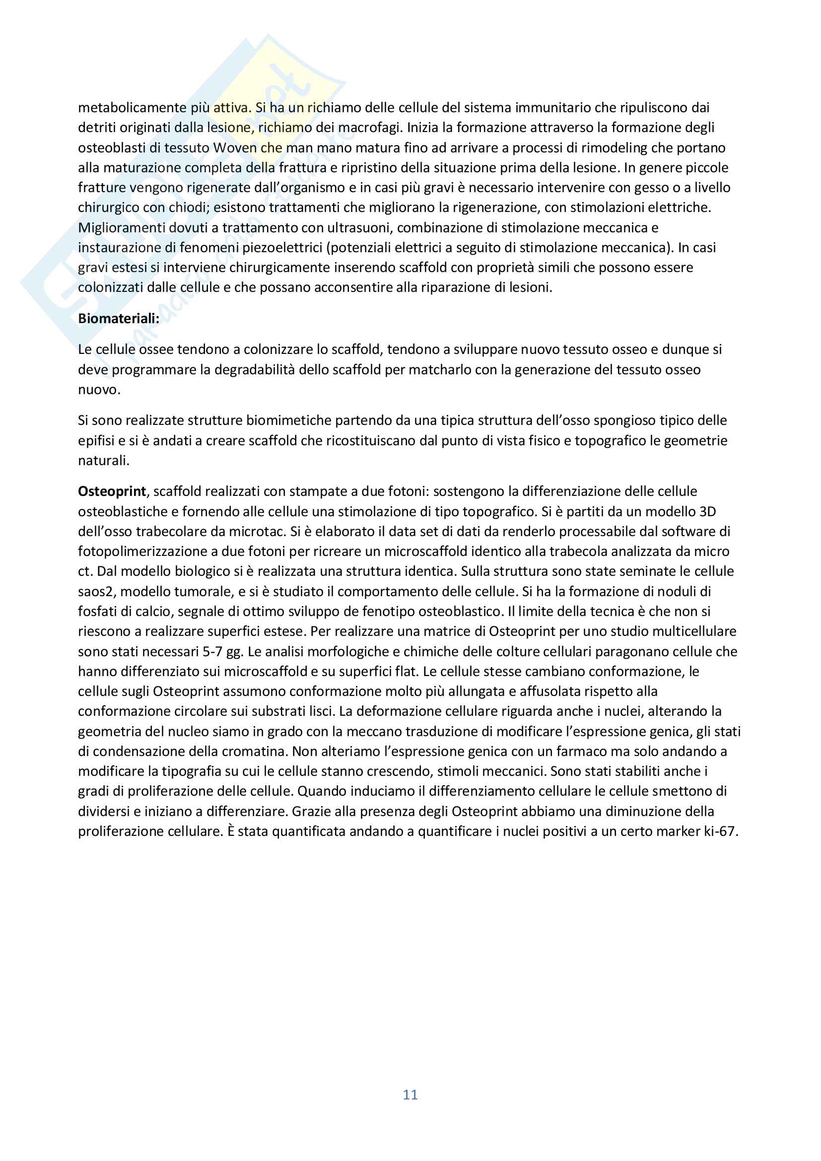Appunti Sistemi Biomimetici Pag. 11