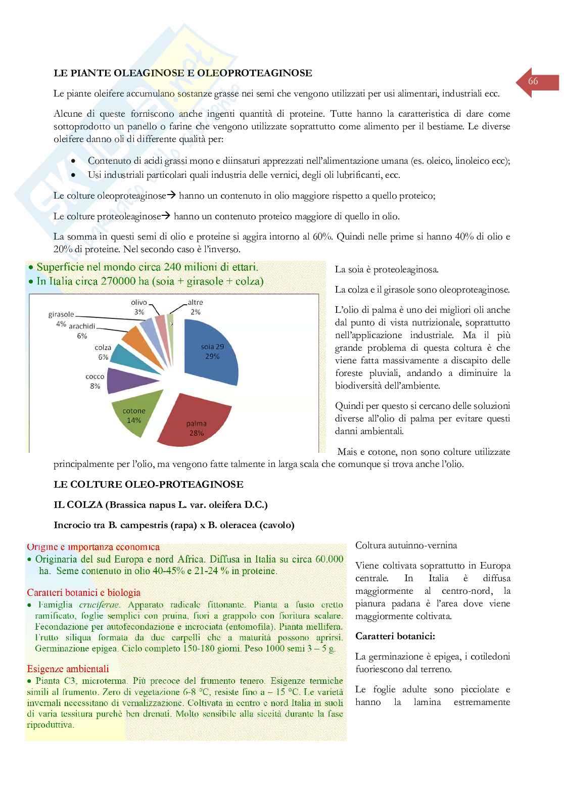 Coltivazioni erbacee Pag. 66