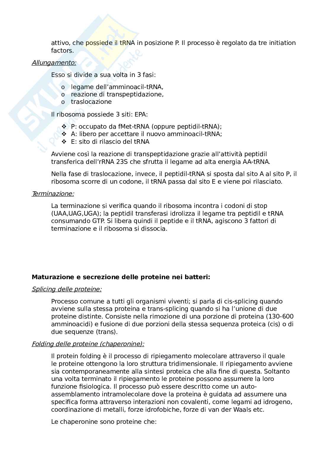 Appunti microbiologia Pag. 6
