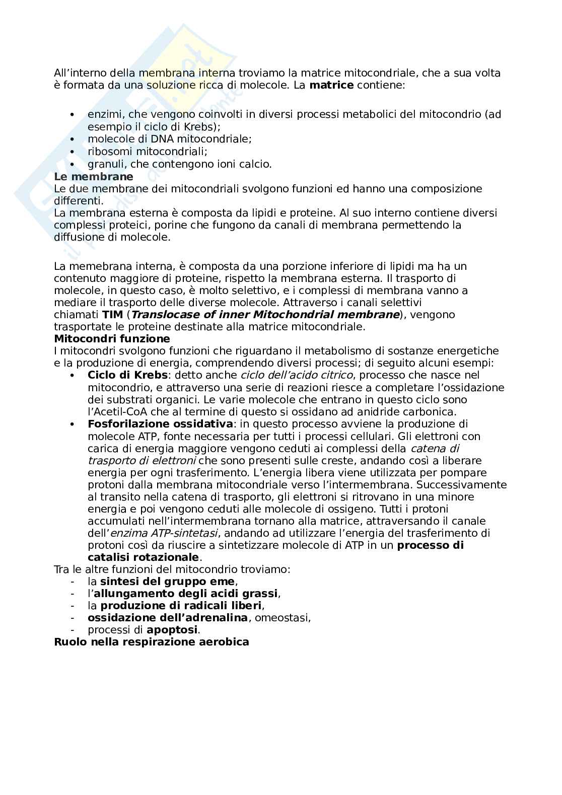 Botanica generale e sistematica Pag. 11