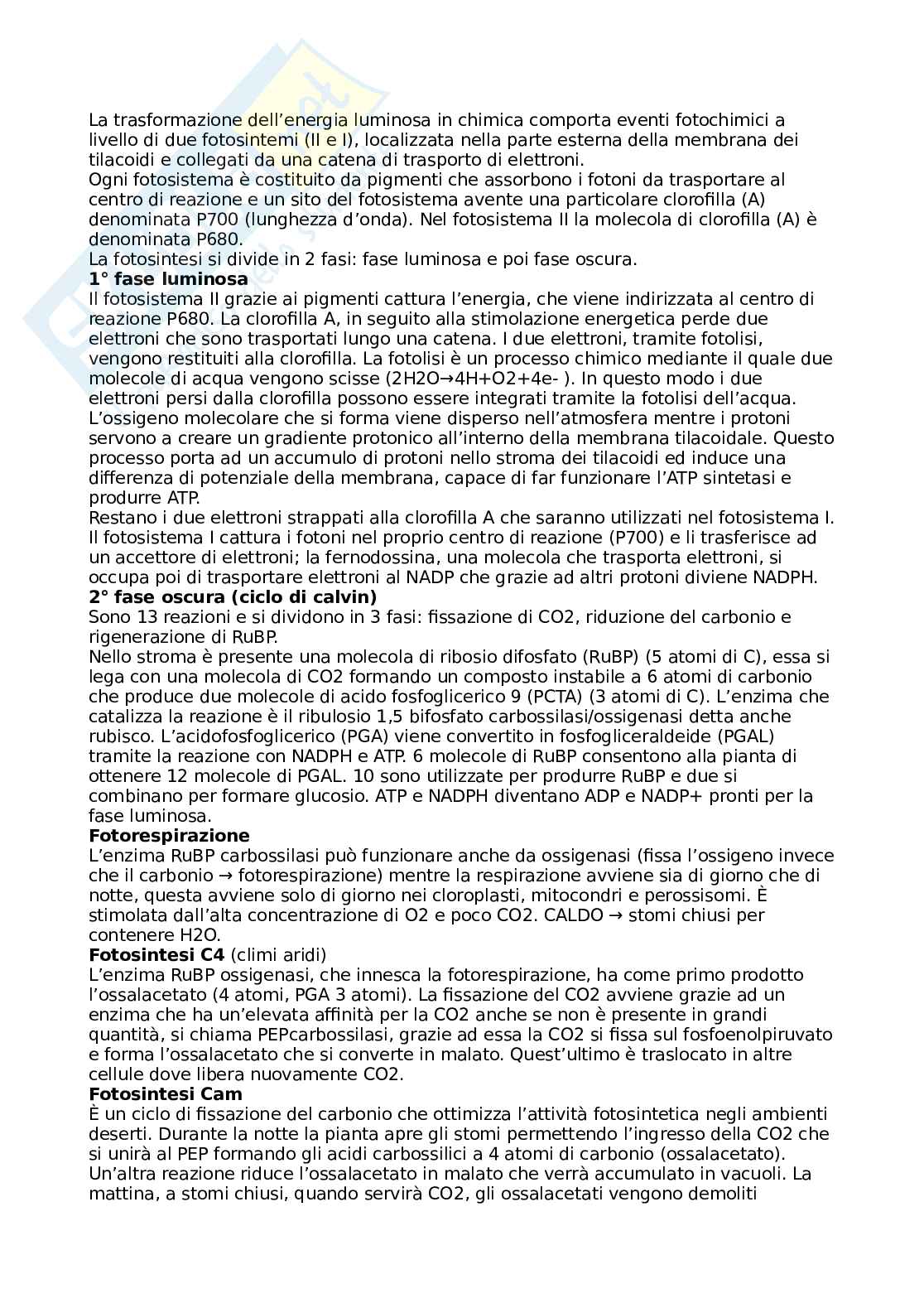 Botanica generale e sistematica Pag. 16