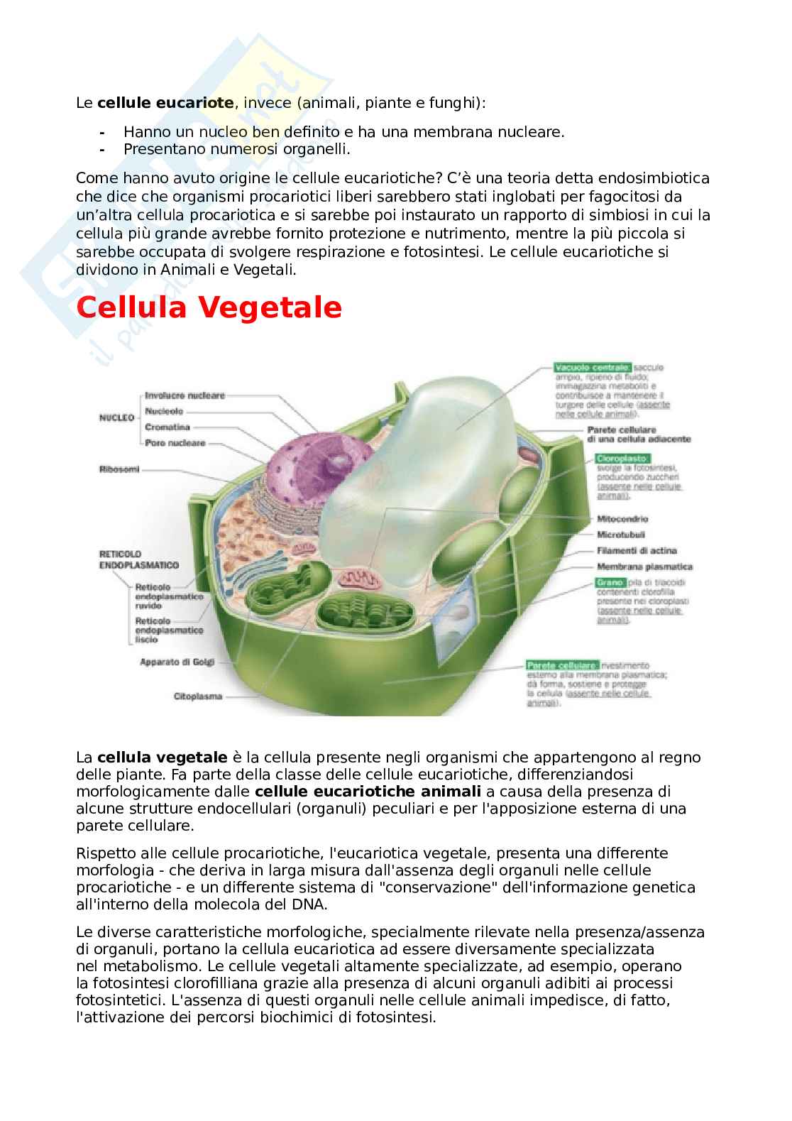 Botanica generale e sistematica Pag. 2