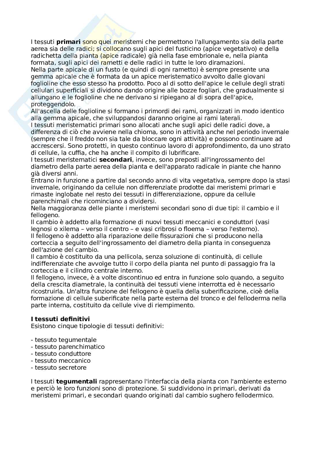 Botanica generale e sistematica Pag. 21