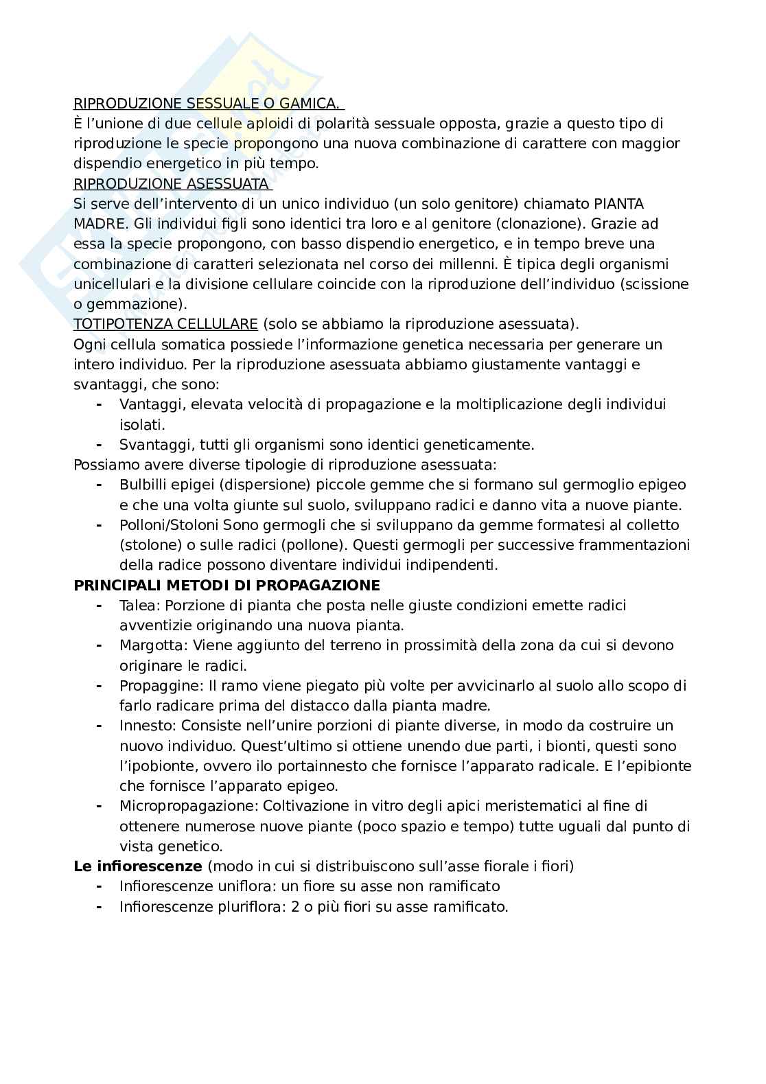 Botanica generale e sistematica Pag. 41