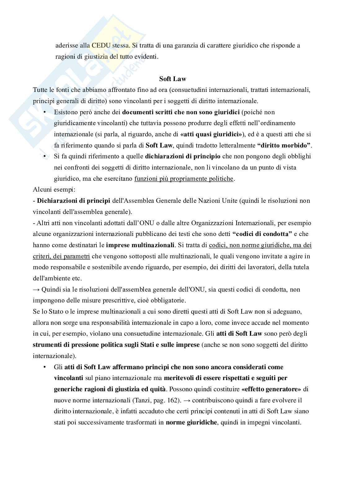 Appunti completi di Diritto internazionale Pag. 46