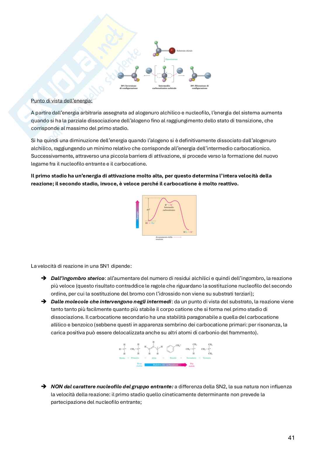 Chimica organica Pag. 41