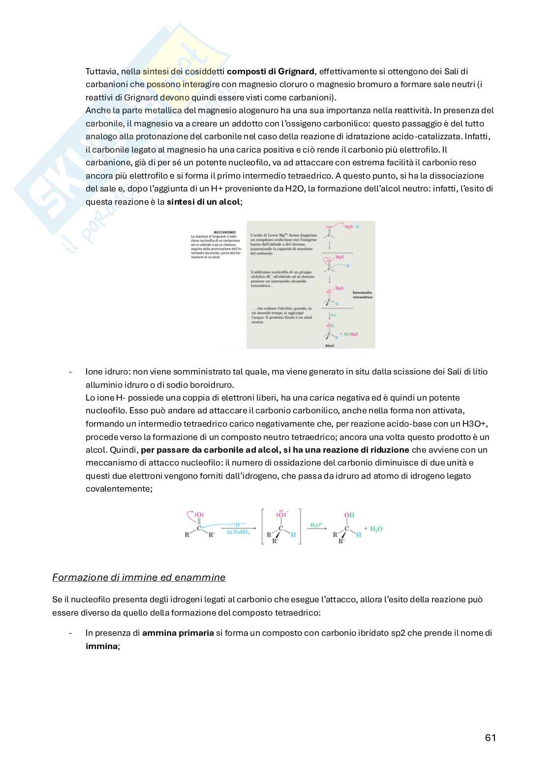 Chimica organica Pag. 61