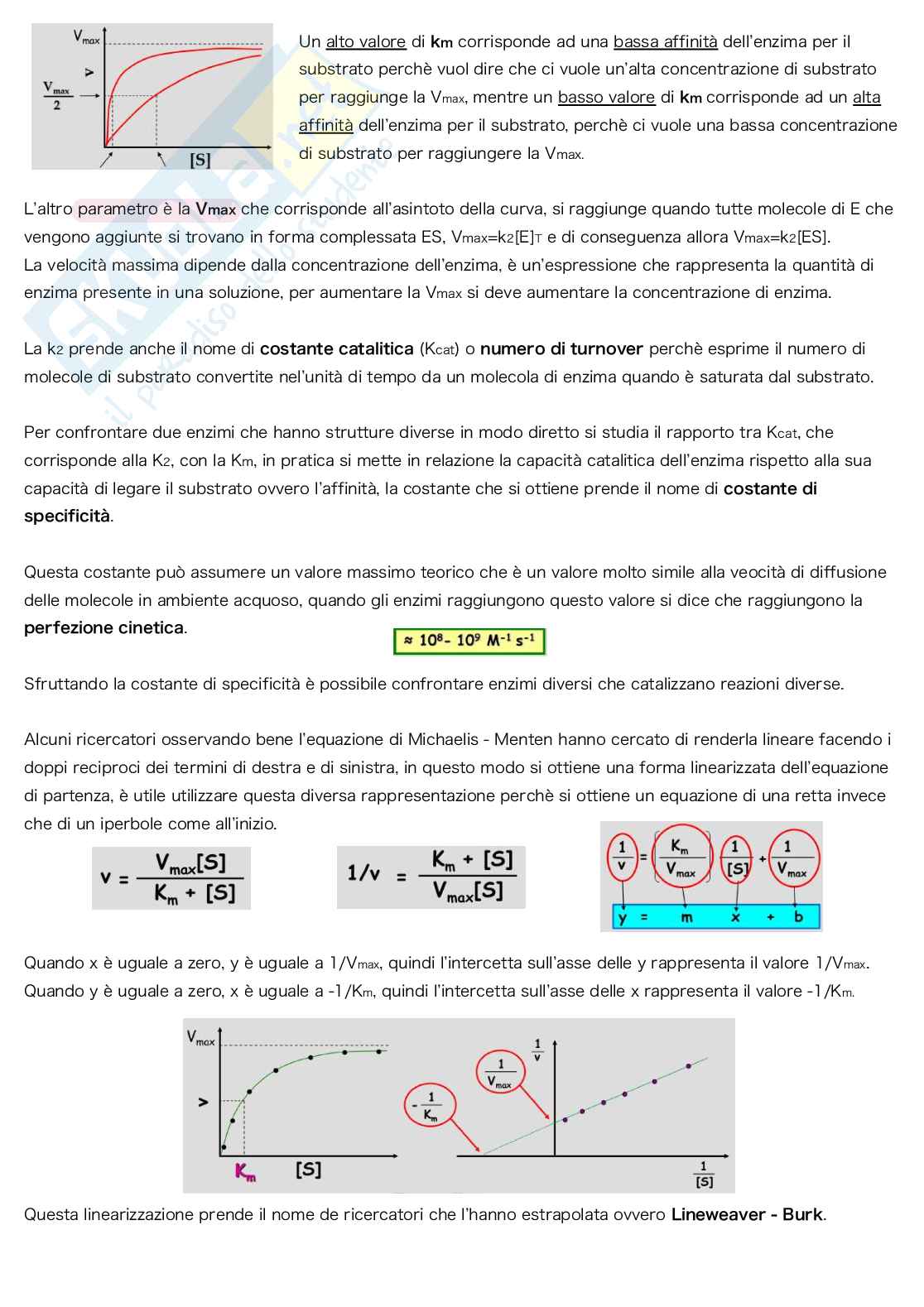 Appunti di Biochimica Pag. 56