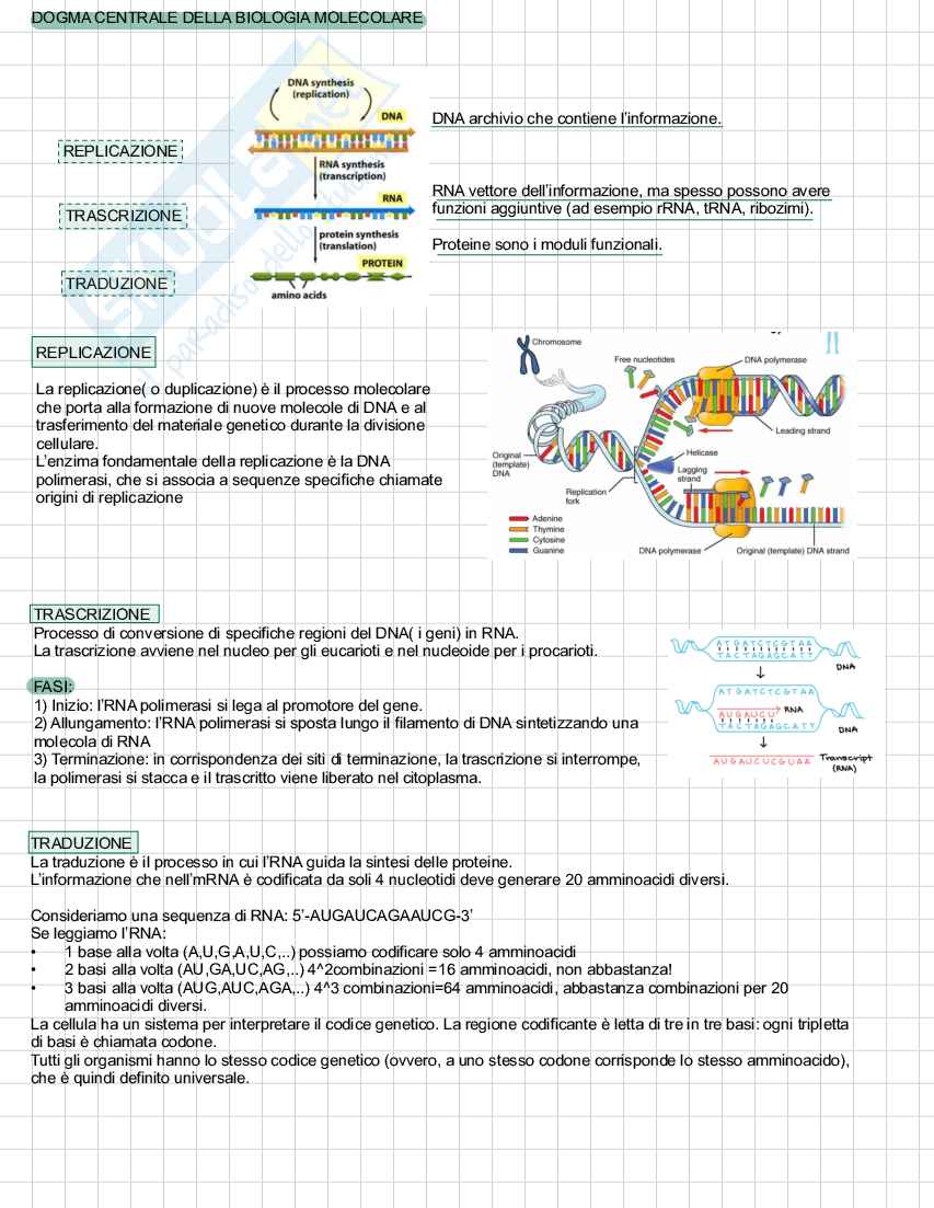 Appunti di Fondamenti di ingegneria ambientale Pag. 16