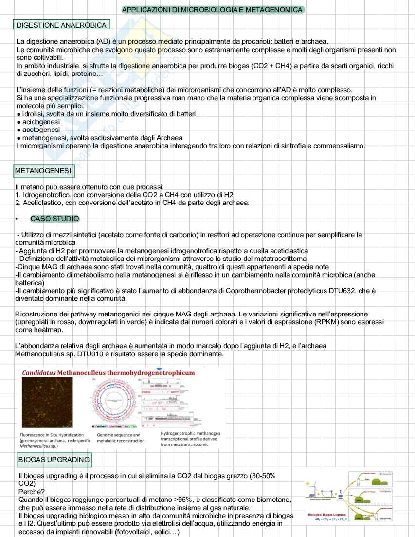 Appunti di Fondamenti di ingegneria ambientale Pag. 26