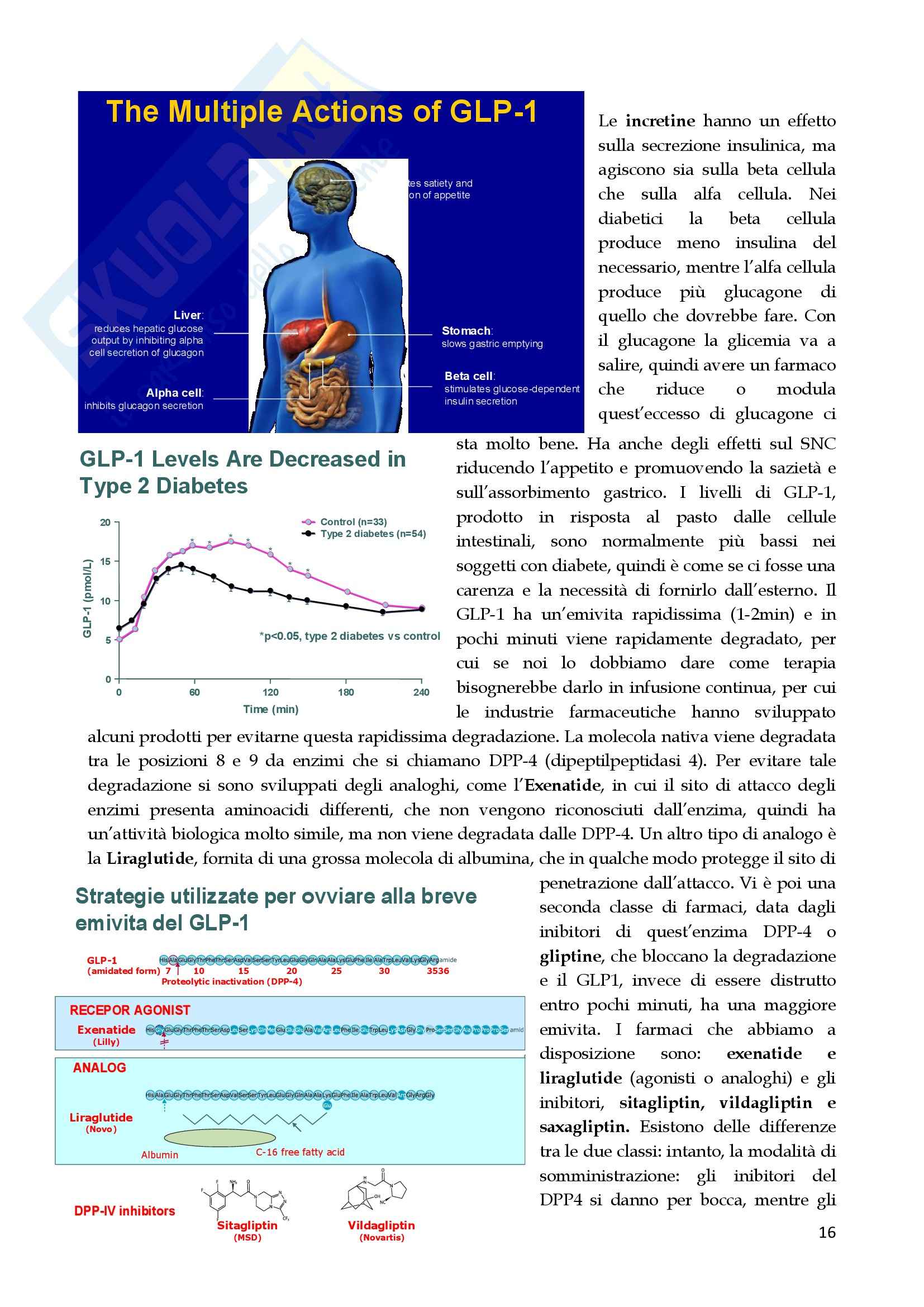 Medicina interna - dislipidemie e diabete mellito Pag. 16