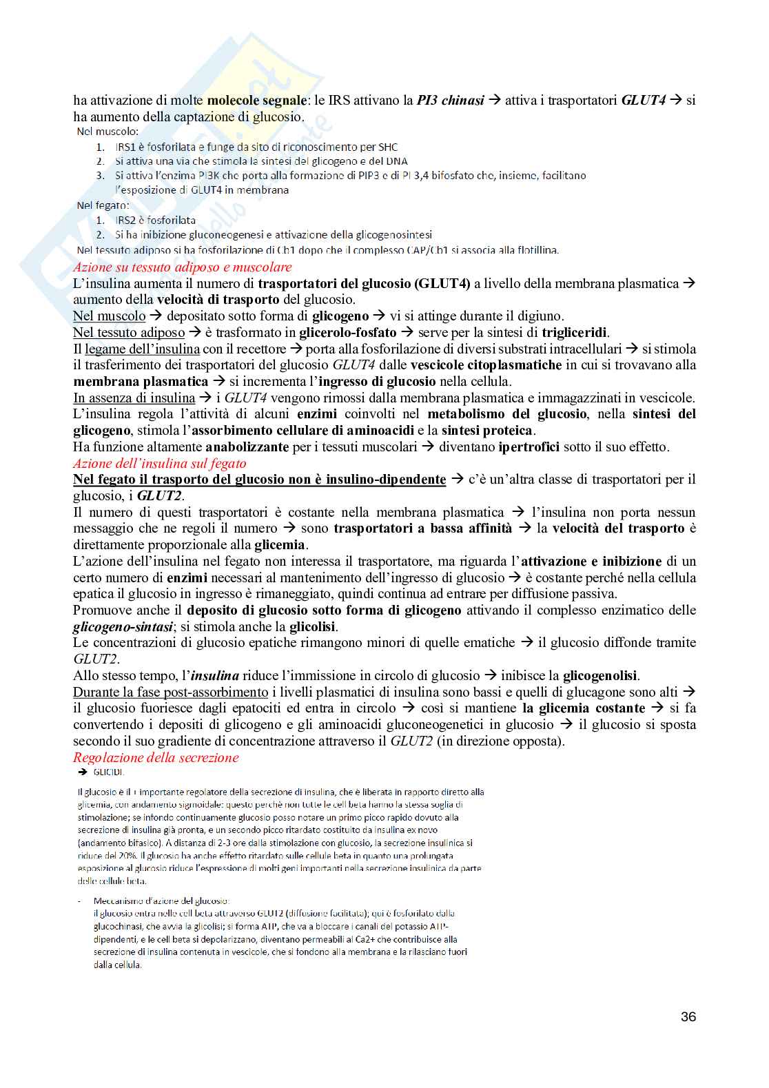 Fisiologia endocrina Pag. 36