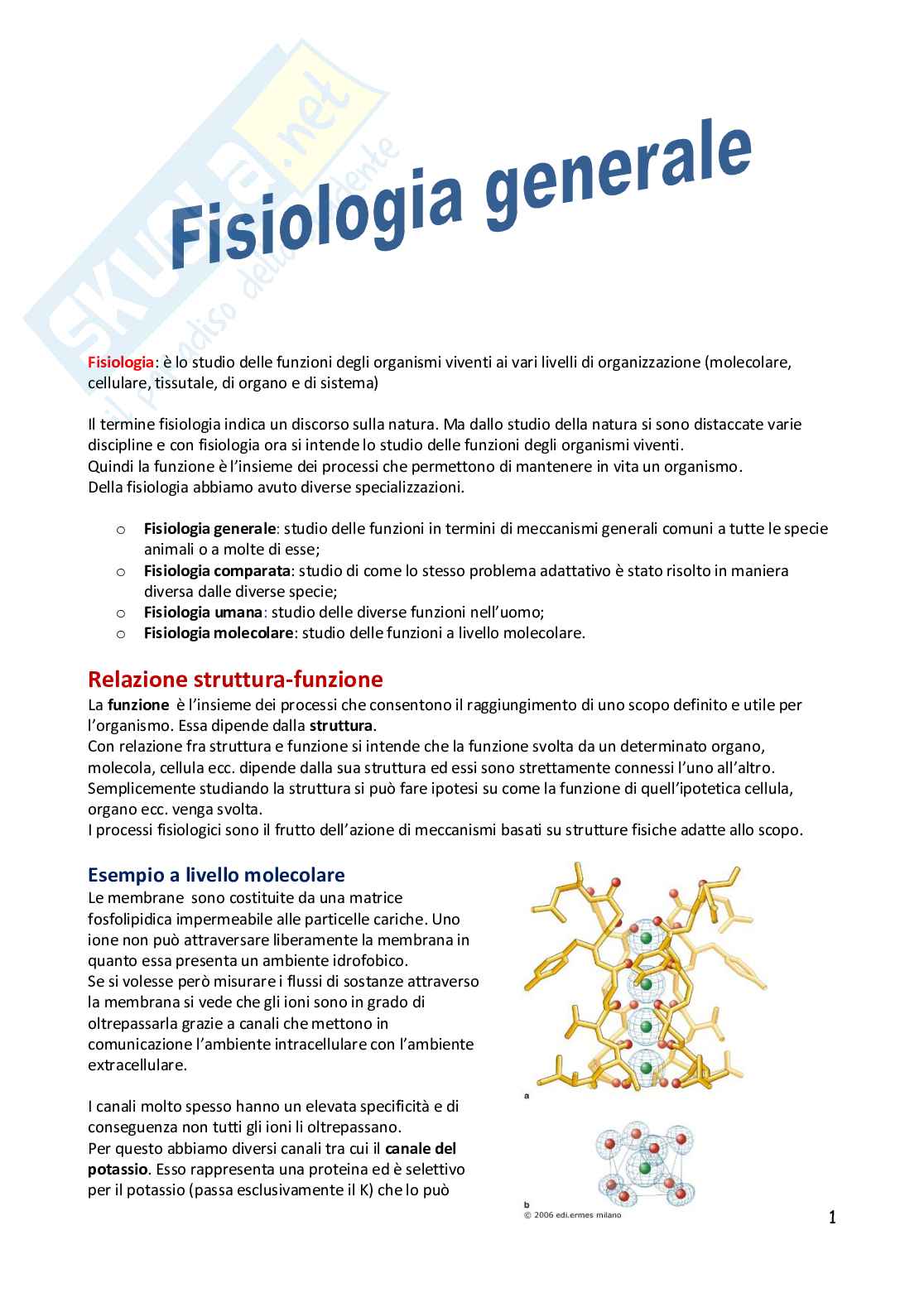 Fisiologia generale Pag. 1