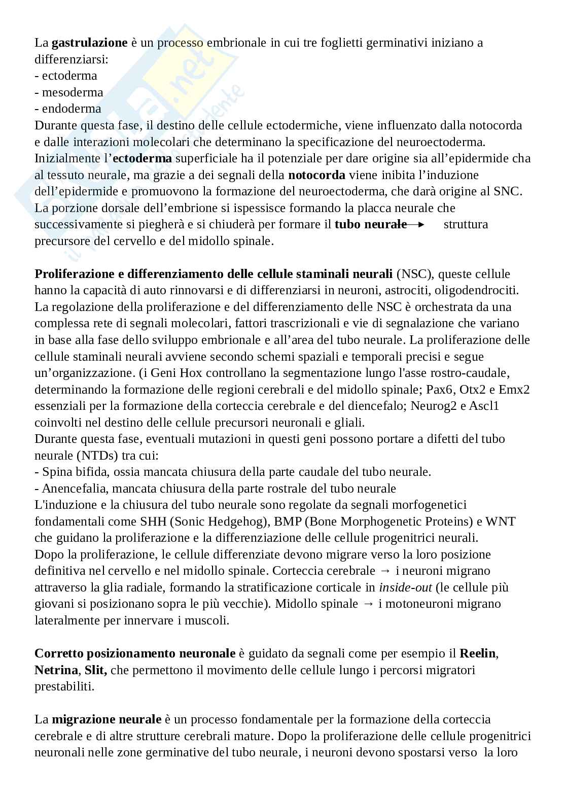 Appunti slide di Neurogenetica Pag. 11