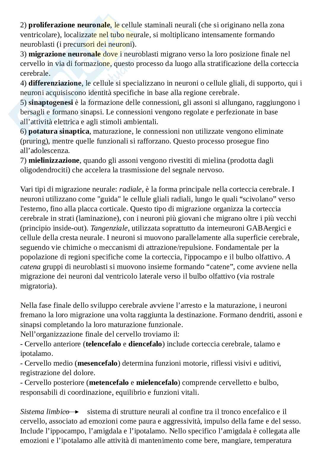 Appunti slide di Neurogenetica Pag. 2