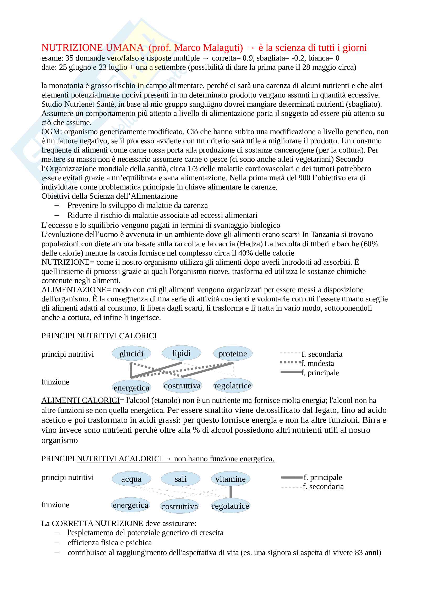 Nutrizione - parte 1 Pag. 1